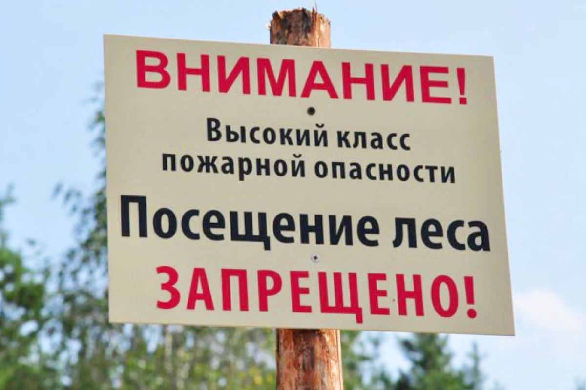 Запрет на посещение, пребывание в лесах населения.