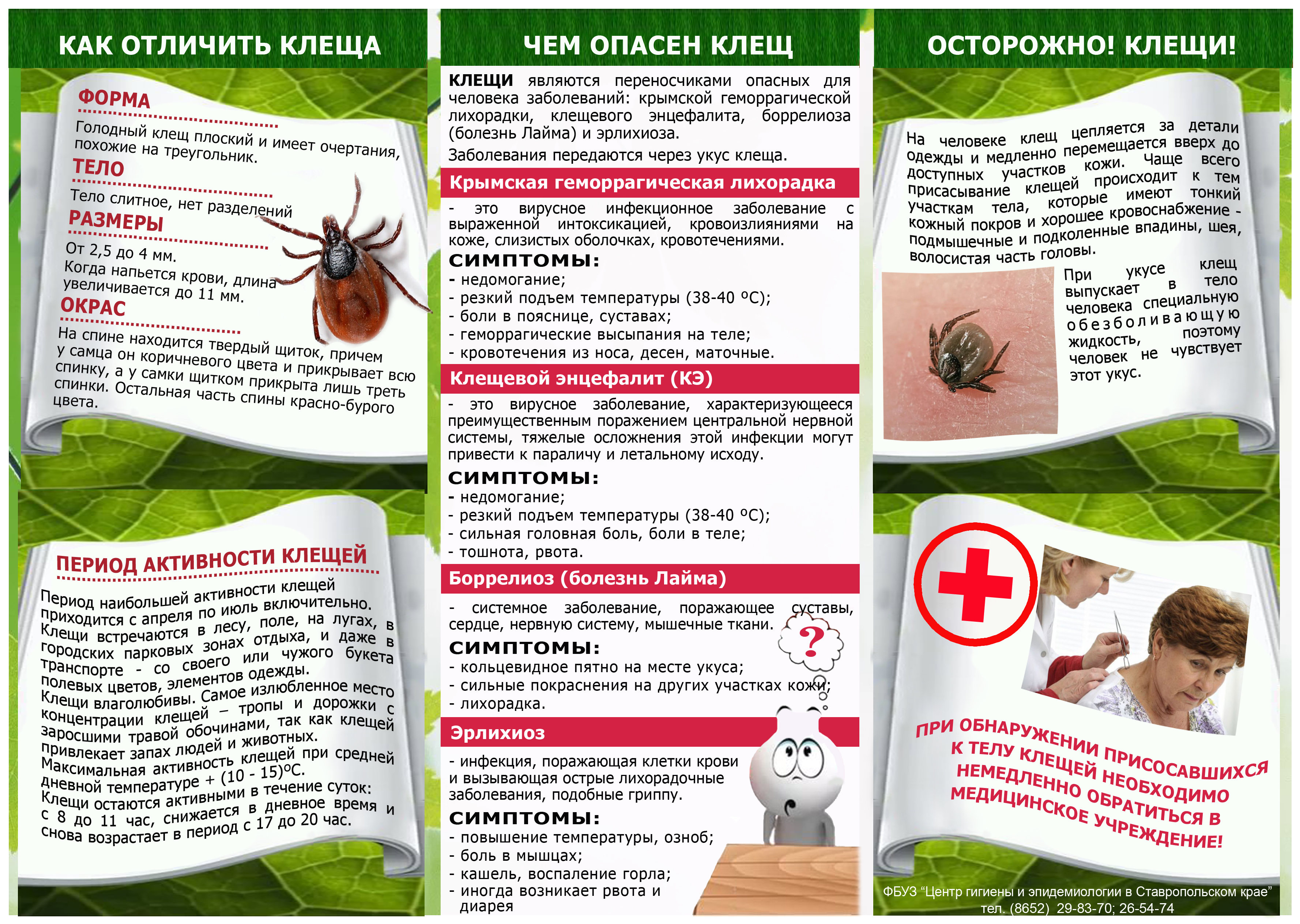 Осторожно! Клещи!.